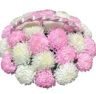 Корзина из 29 розовых и белых шаровидных хризантем